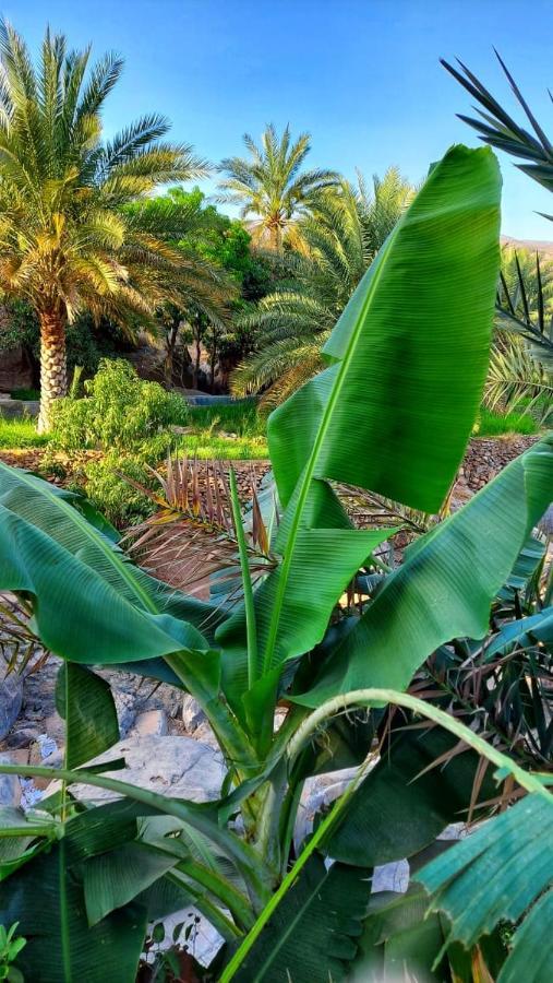 Misfah View Hotel Ngoại thất bức ảnh